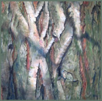 Salix Alba, olie op doek, 70 x 70 cm  